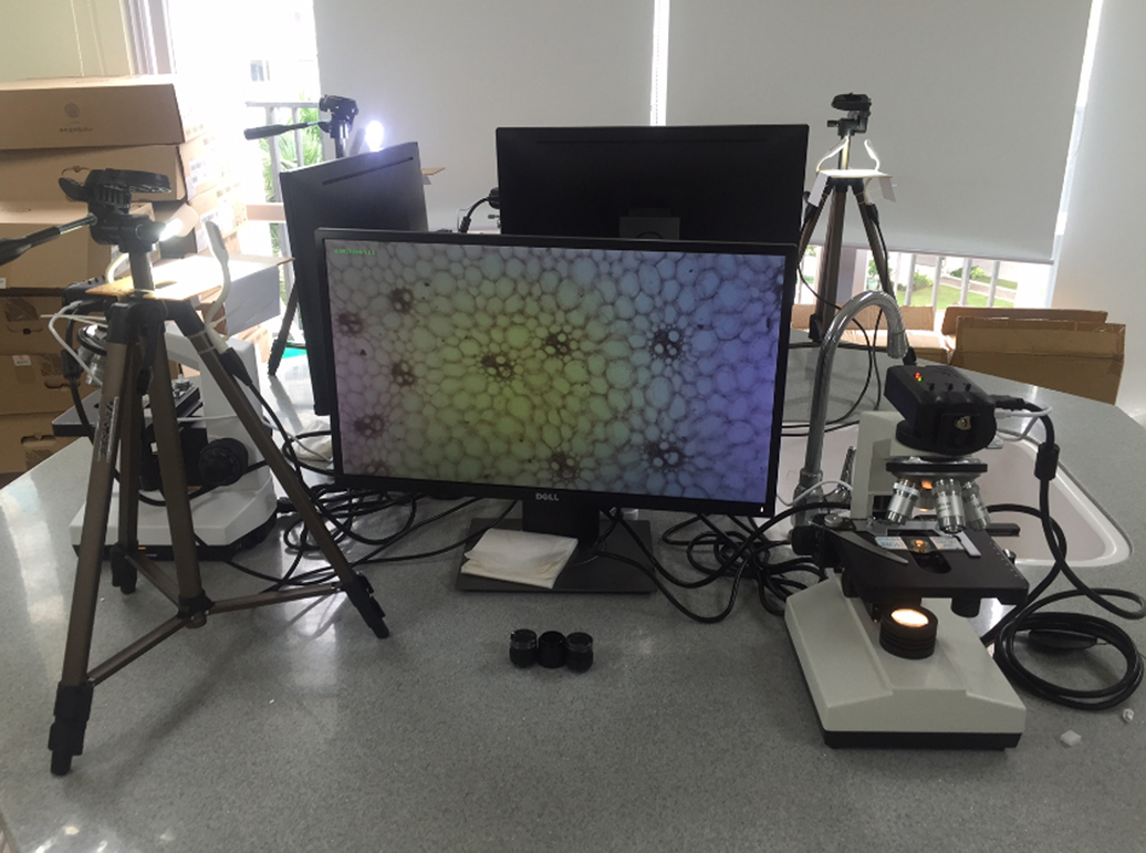 view of microscope image on a screen